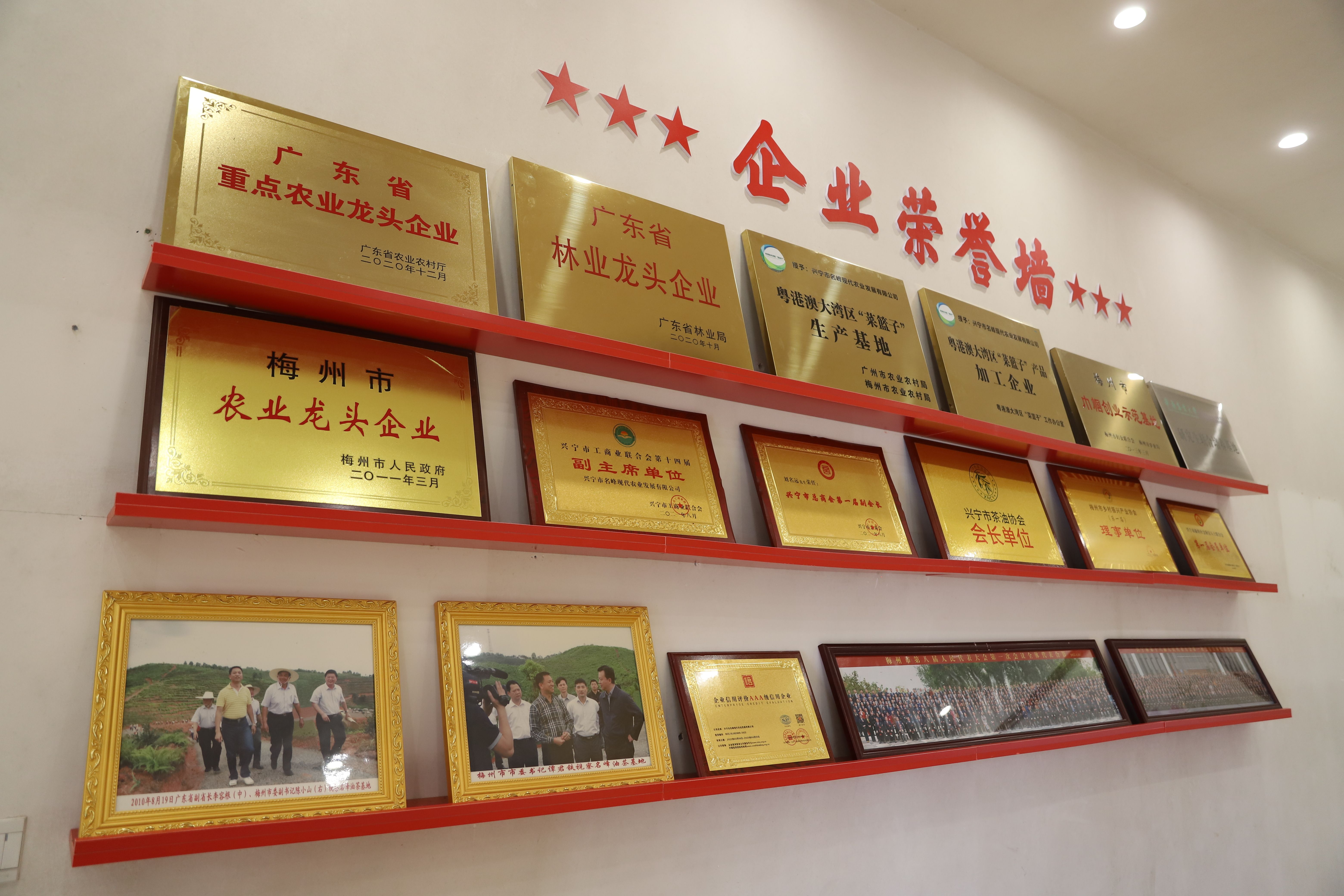 新闻配图 (1).jpg