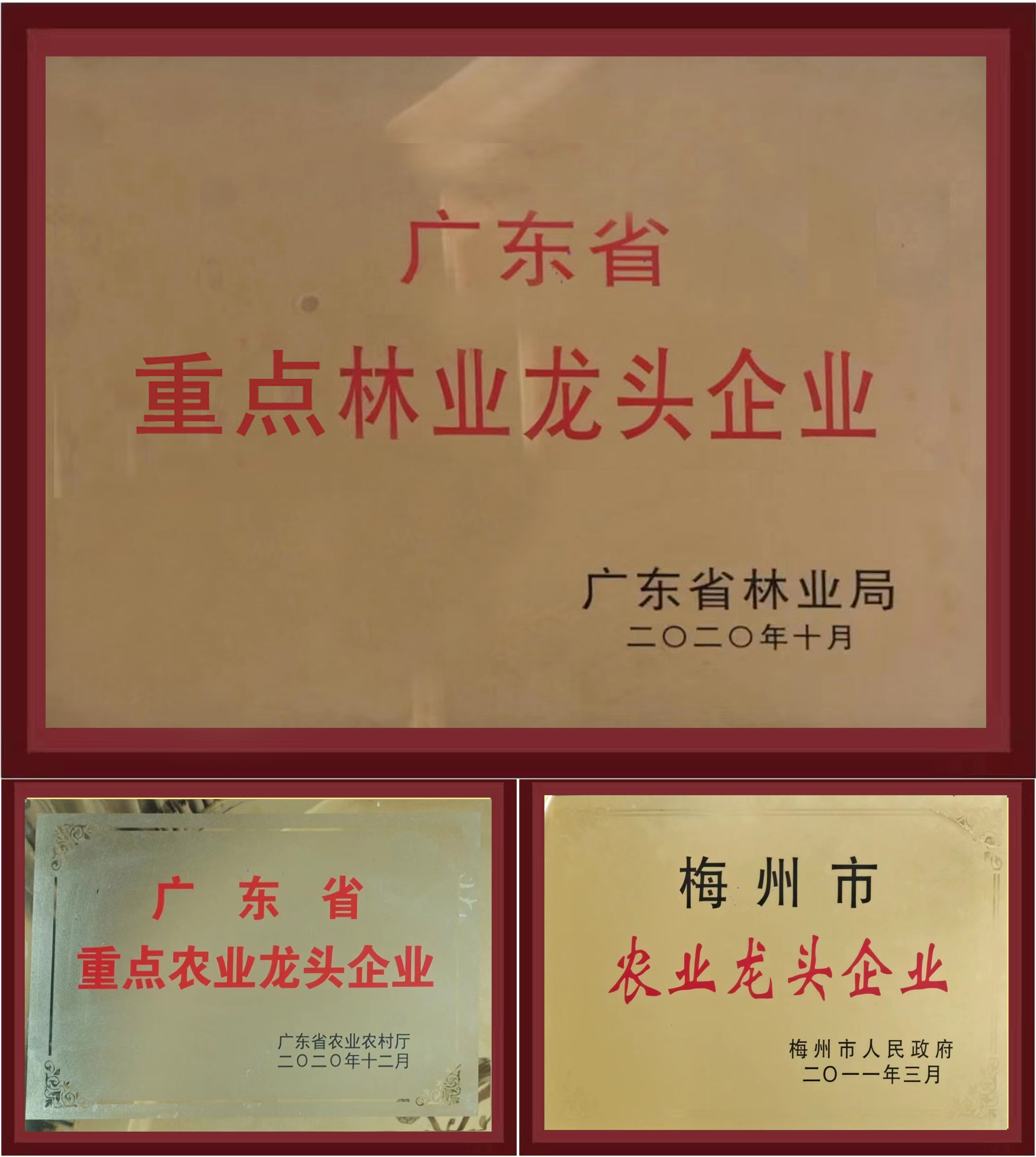 新闻配图 (2).jpg