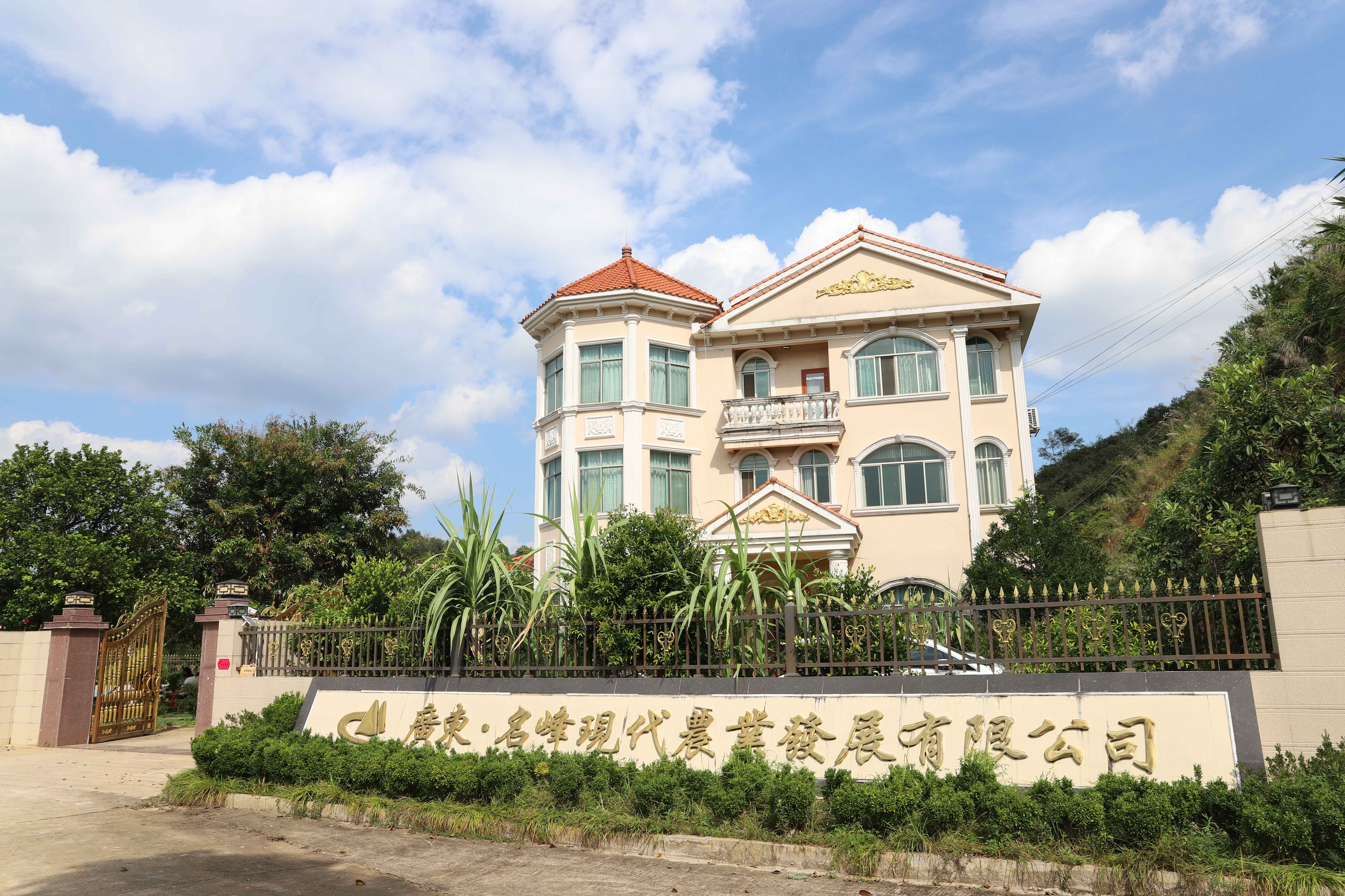 新闻配图 (4).jpg