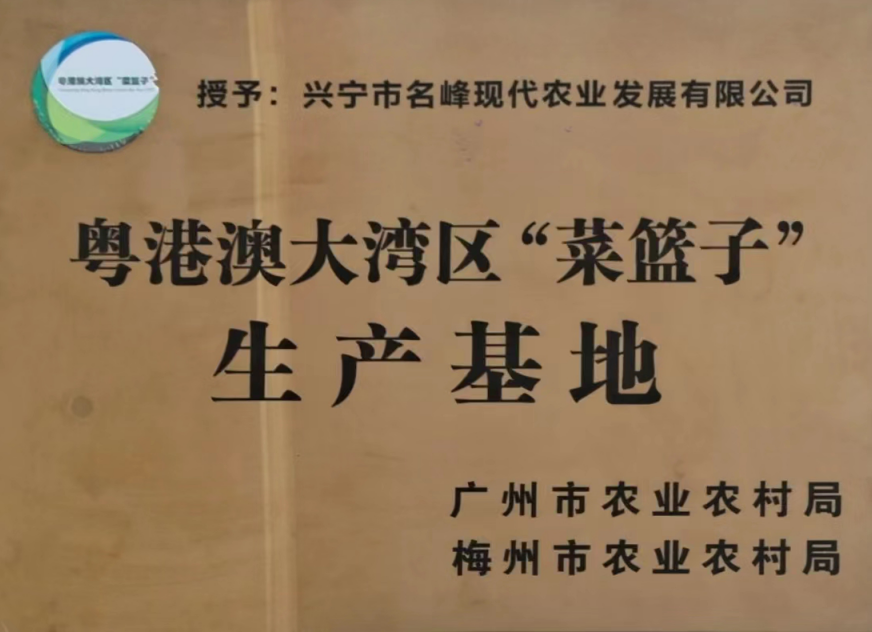 粤港澳大湾区“菜篮子”生产基地