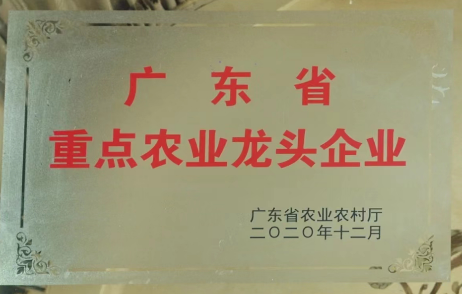广东省重点农业龙头企业