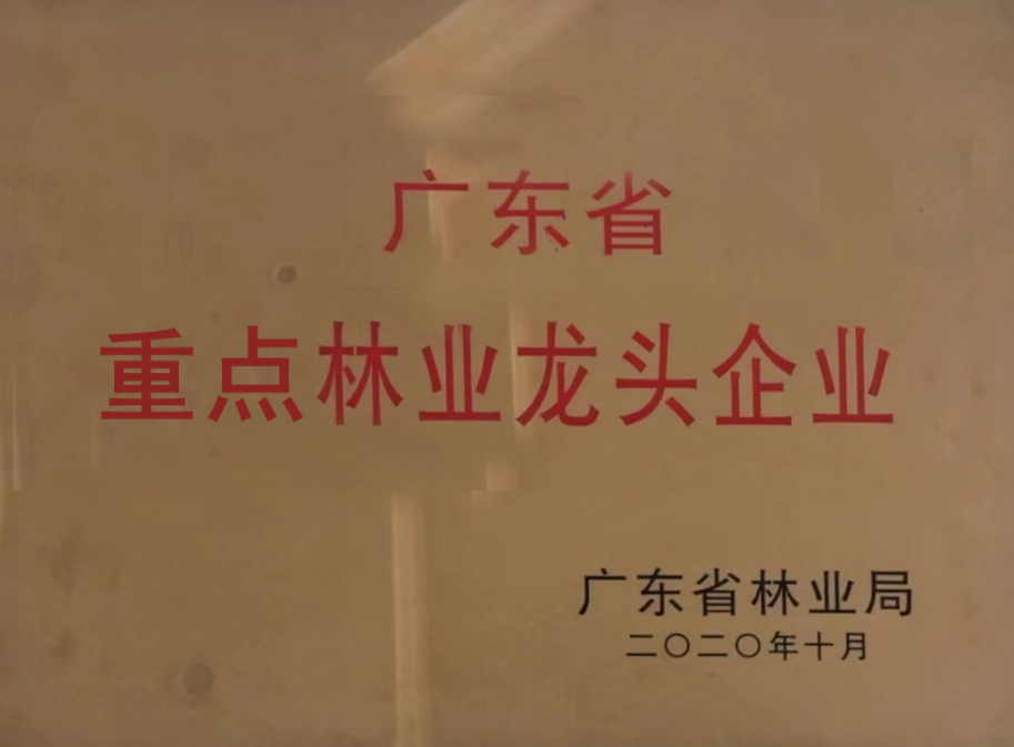 广东省重点林业龙头企业