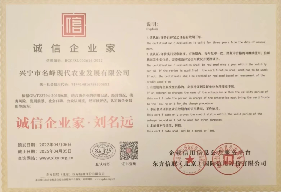 家庭及个人荣誉